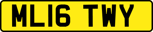 ML16TWY