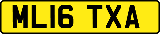 ML16TXA