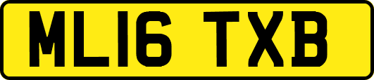 ML16TXB