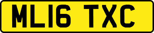 ML16TXC