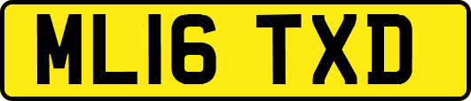 ML16TXD