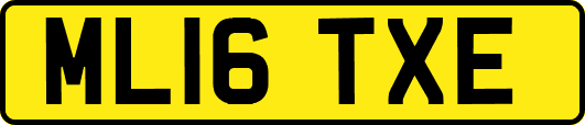 ML16TXE