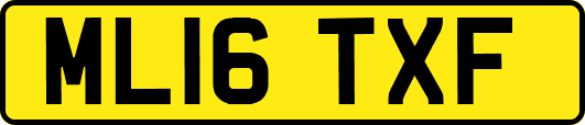 ML16TXF