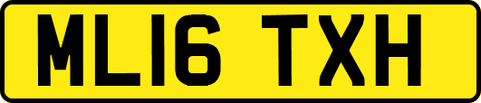 ML16TXH