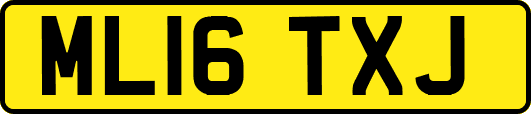 ML16TXJ
