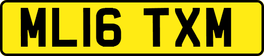 ML16TXM