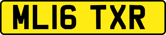 ML16TXR