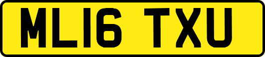 ML16TXU