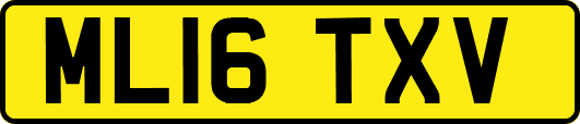 ML16TXV