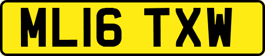 ML16TXW
