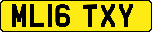 ML16TXY