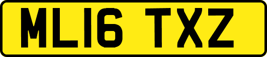 ML16TXZ