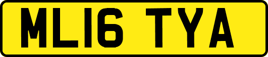 ML16TYA