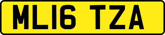 ML16TZA