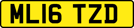 ML16TZD