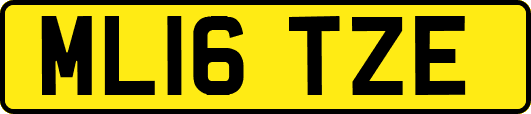 ML16TZE