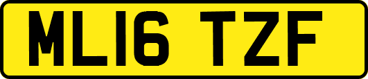 ML16TZF