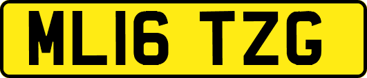 ML16TZG