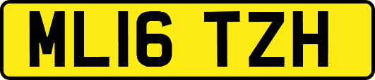 ML16TZH