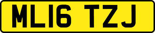 ML16TZJ
