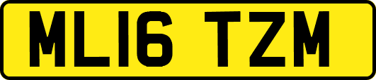 ML16TZM