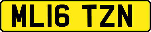 ML16TZN