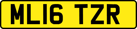 ML16TZR