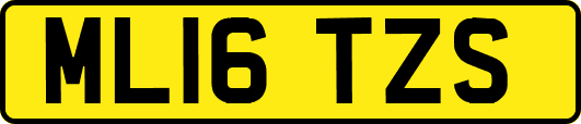 ML16TZS
