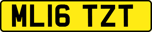ML16TZT