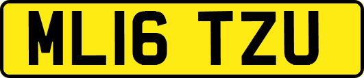 ML16TZU