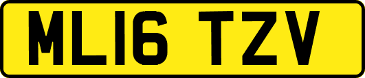 ML16TZV