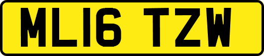 ML16TZW