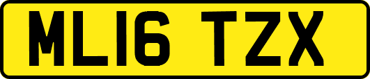 ML16TZX