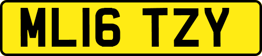 ML16TZY
