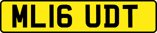 ML16UDT