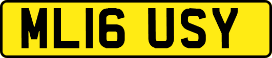 ML16USY