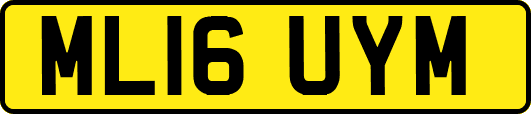 ML16UYM