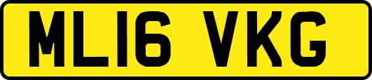ML16VKG