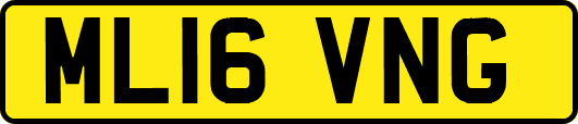 ML16VNG