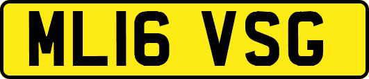 ML16VSG