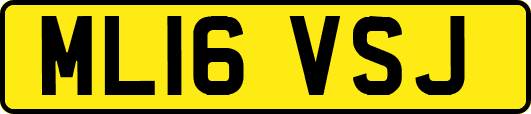 ML16VSJ