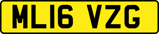 ML16VZG