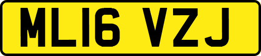 ML16VZJ