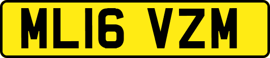 ML16VZM