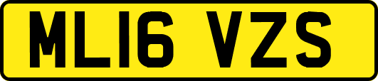 ML16VZS
