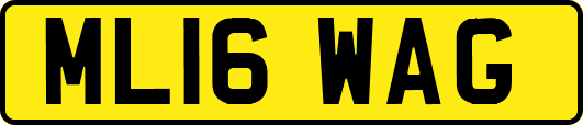 ML16WAG