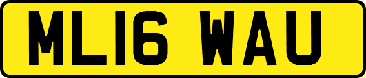 ML16WAU
