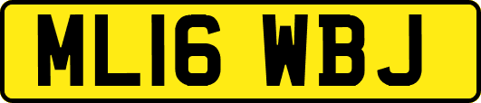 ML16WBJ