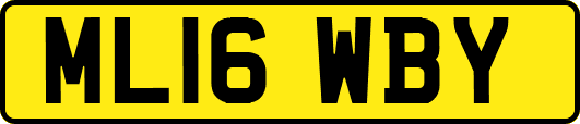 ML16WBY