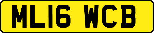 ML16WCB